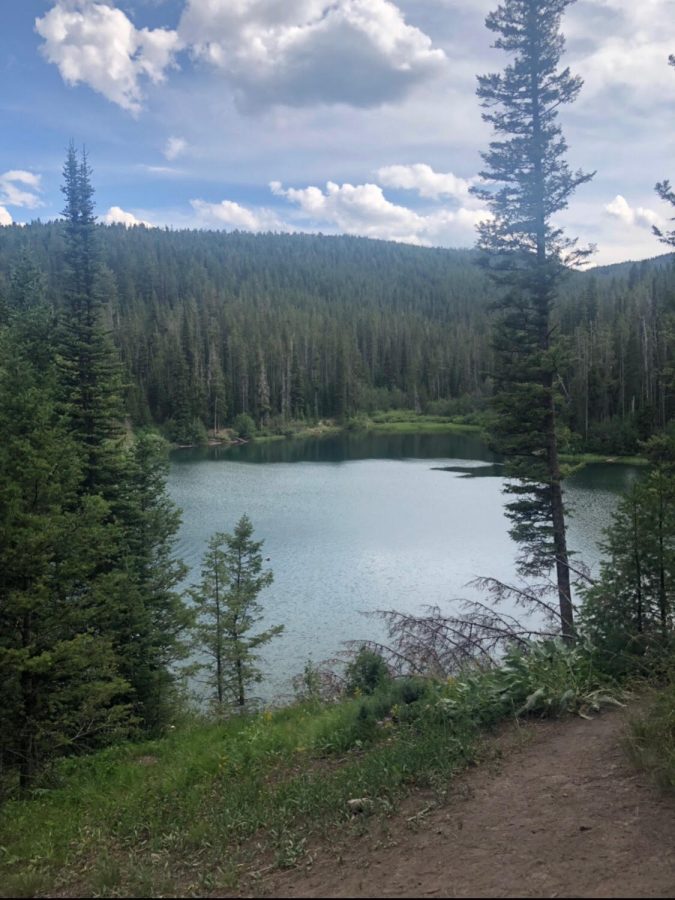 Hike Packsaddle Lake located in Tetonia, Idaho. The dirt path is surrounded by wildflowers and a grand view of the Tetons.