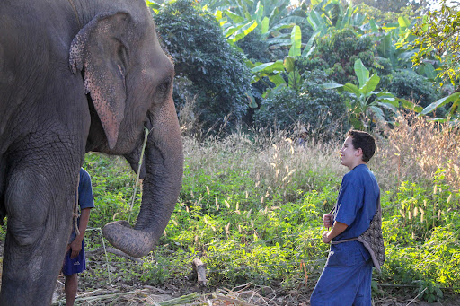 Hammond with an asiatic elephant. This species of elephant is found throughout all of Thailand and is revered and worshipped in Thai culture. One of the nicknames for Thailand is, ‘The Kingdom of Elephants’.