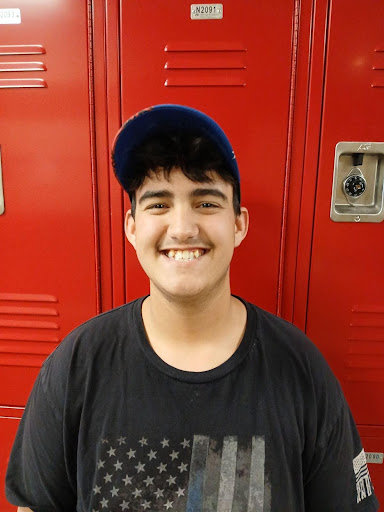 The Pizza Debate Continues