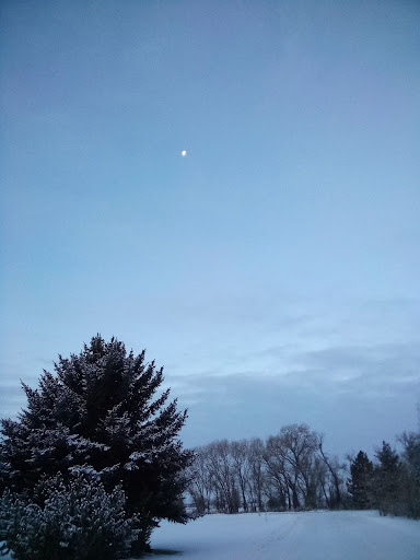 Winter Formal: who makes the move?