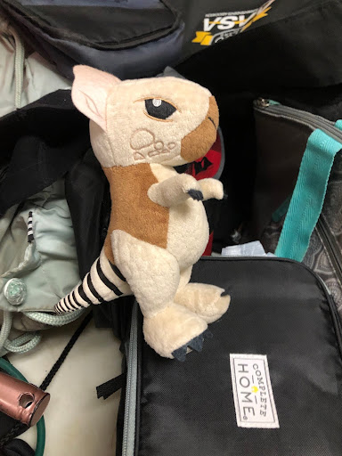 Chelsea Burton Artical Lost and Found